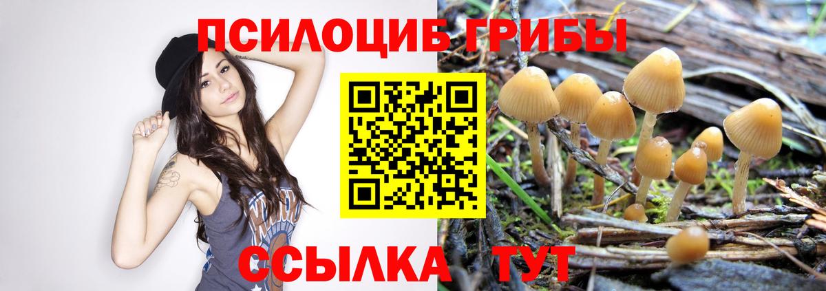 Псилоцибиновые грибы мухоморы Нарткала