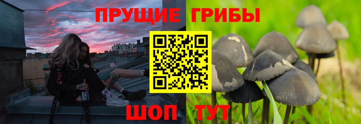 Псилоцибиновые грибы Magic Shrooms  Вход с VPN  Нарткала 